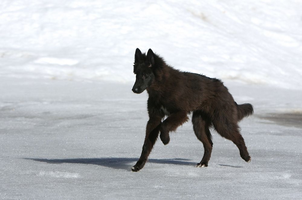 Фотография автора Надежда Лисицына