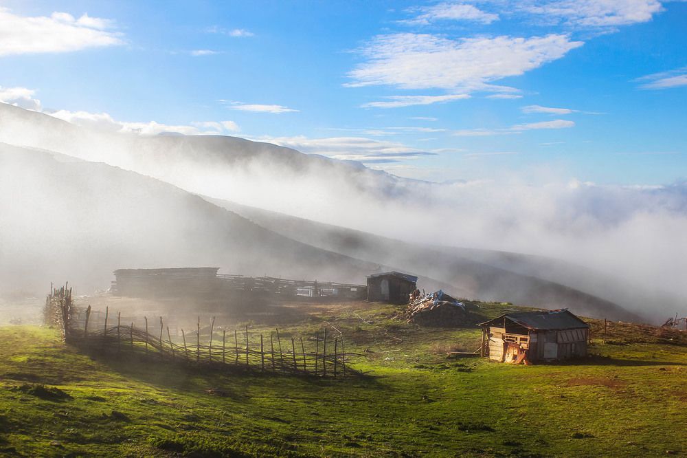 Photograph by Ali Memari