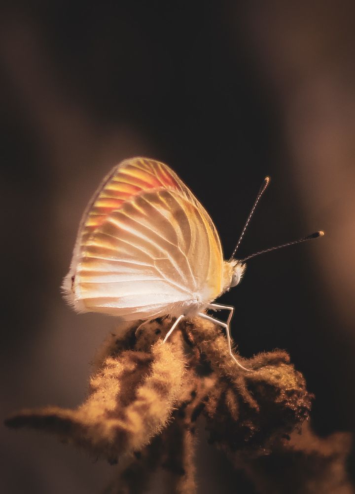 Photograph by Waleed Yousuf Alwahaibi