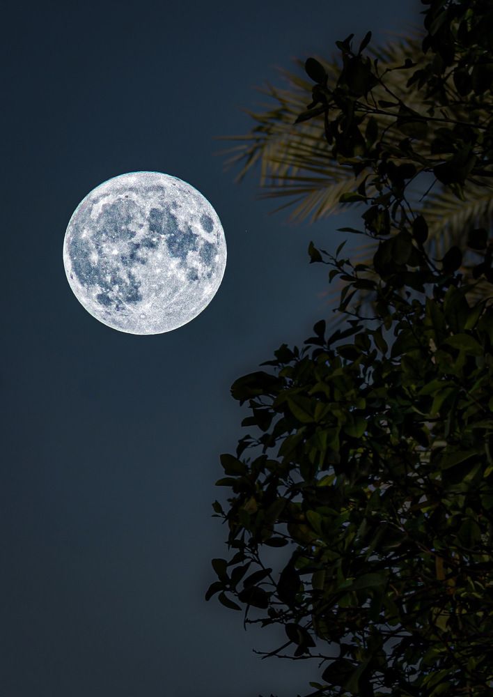 Photograph by Waleed Yousuf Alwahaibi