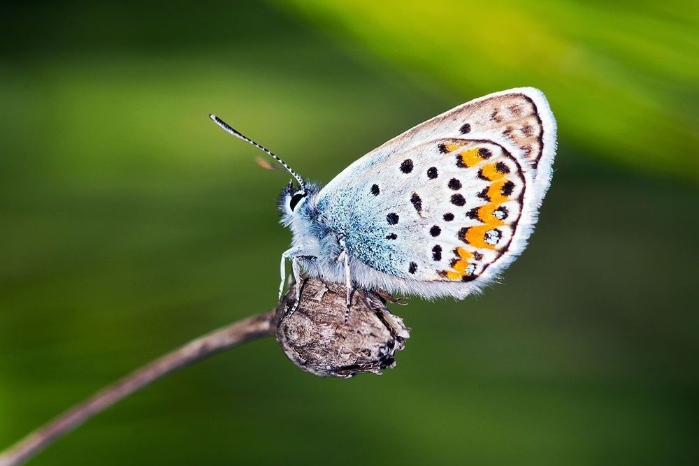 Photograph by Matko Matkovic