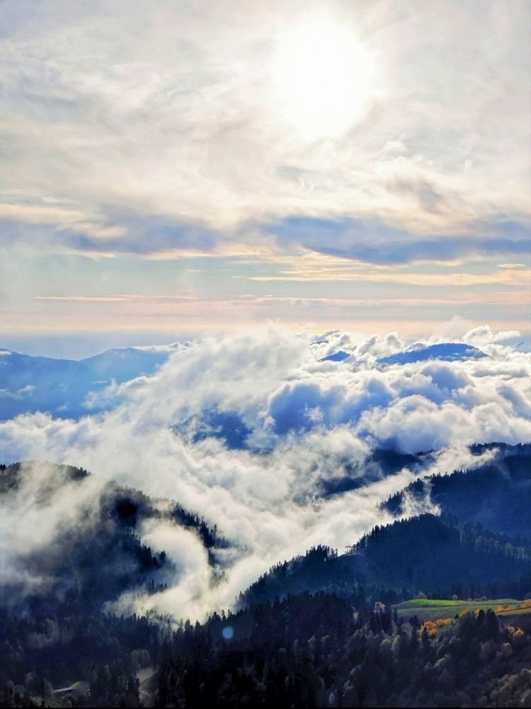 Photograph by Marina Green