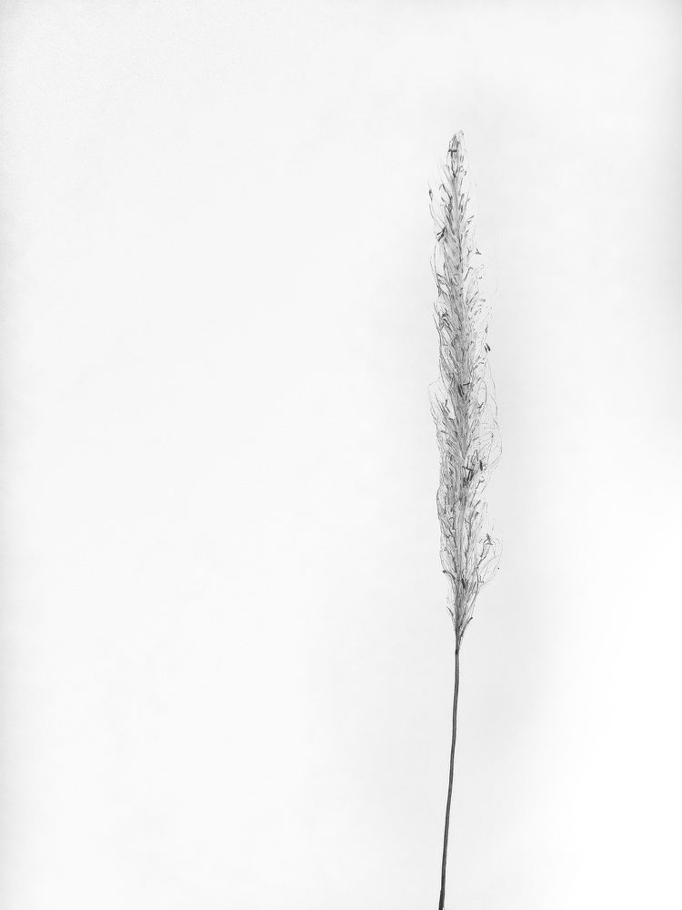 Photograph by Adam Caabay Terrado