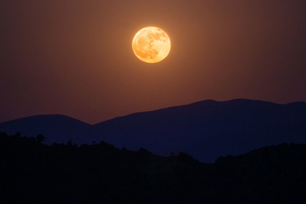 Photograph by Ali Memari