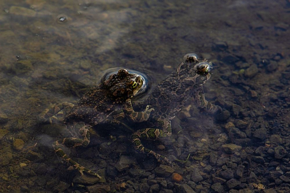 Photograph by Екатерина Першина