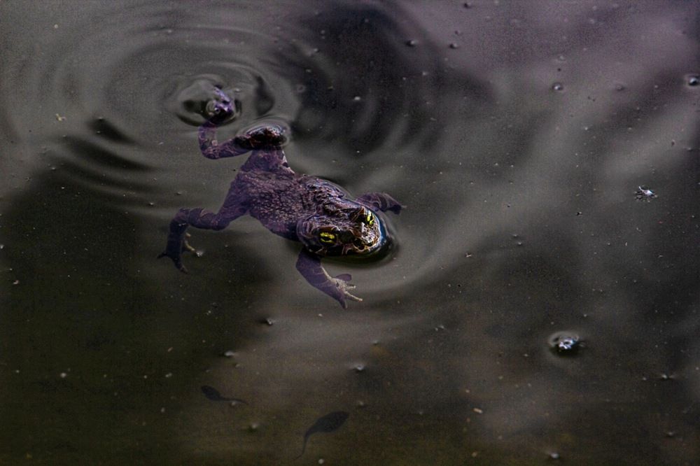 Photograph by Екатерина Першина