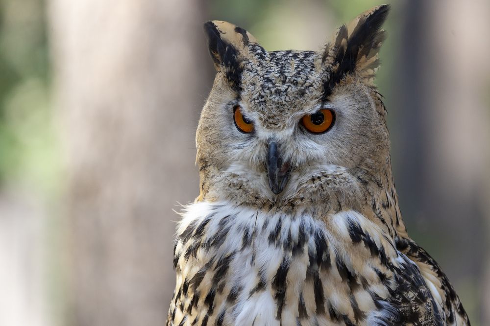 Photograph by Щепанов Дмитрий