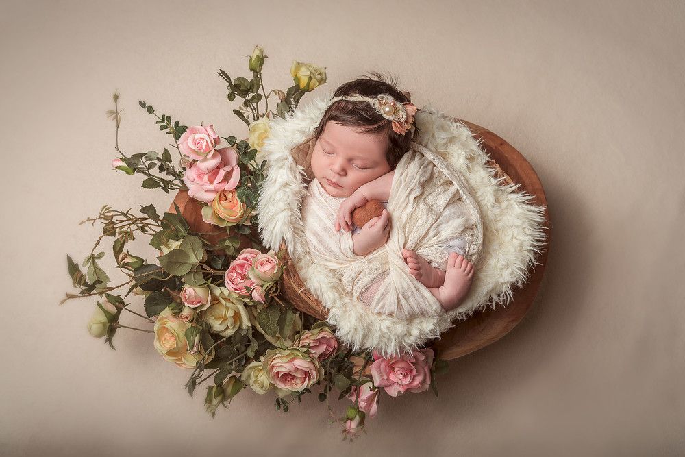 Фотография автора CAMILA ZANCANARO