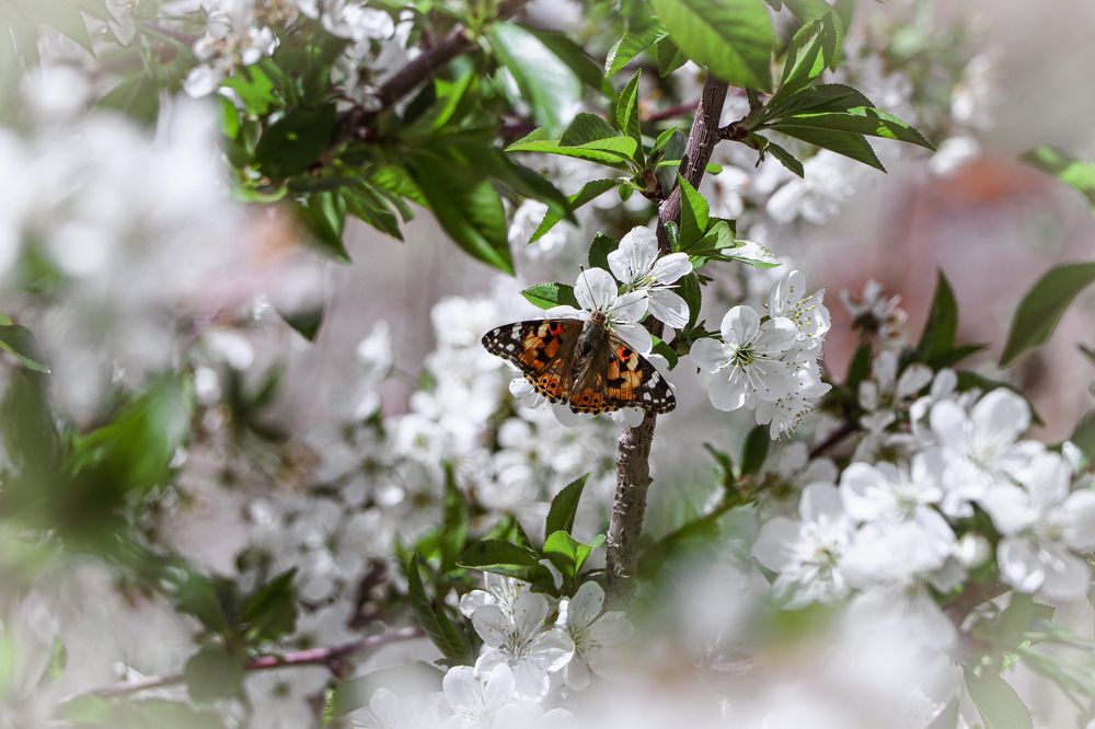 Фотография автора Nedai Eftekhari