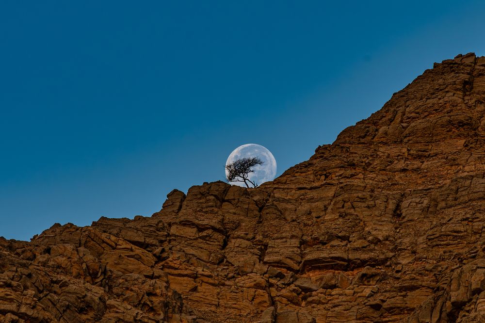 Photograph by Sunil Muralidhar