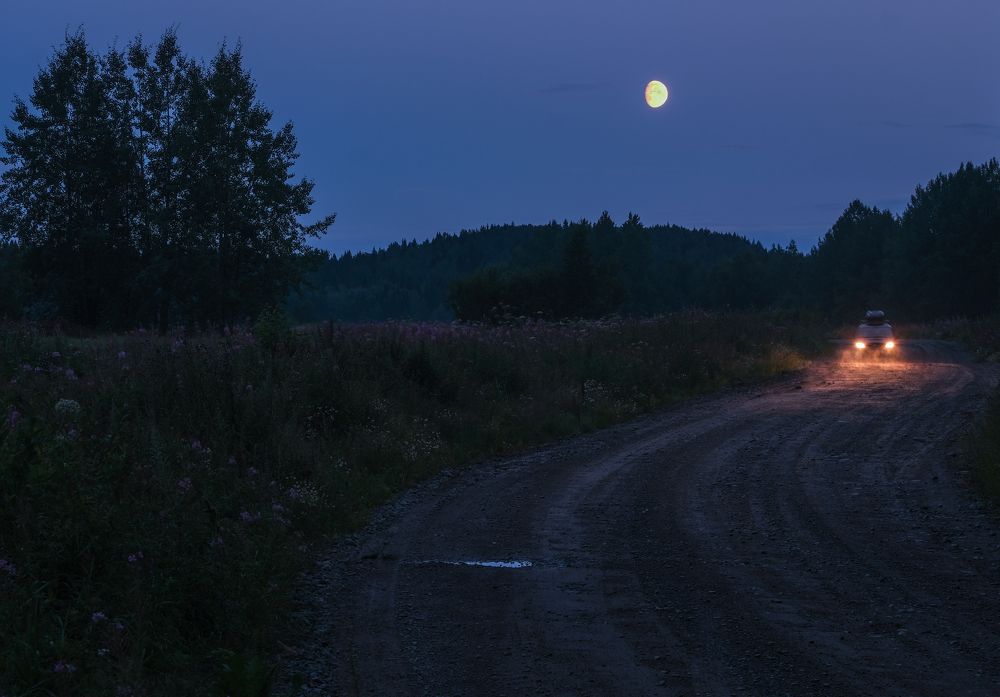 Photograph by Zhernovenkov Vladimir