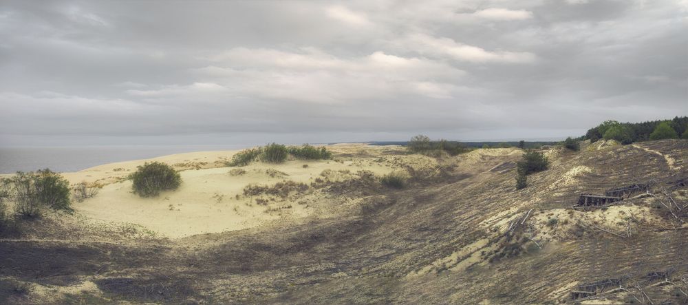 Photograph by Сергей Старостин