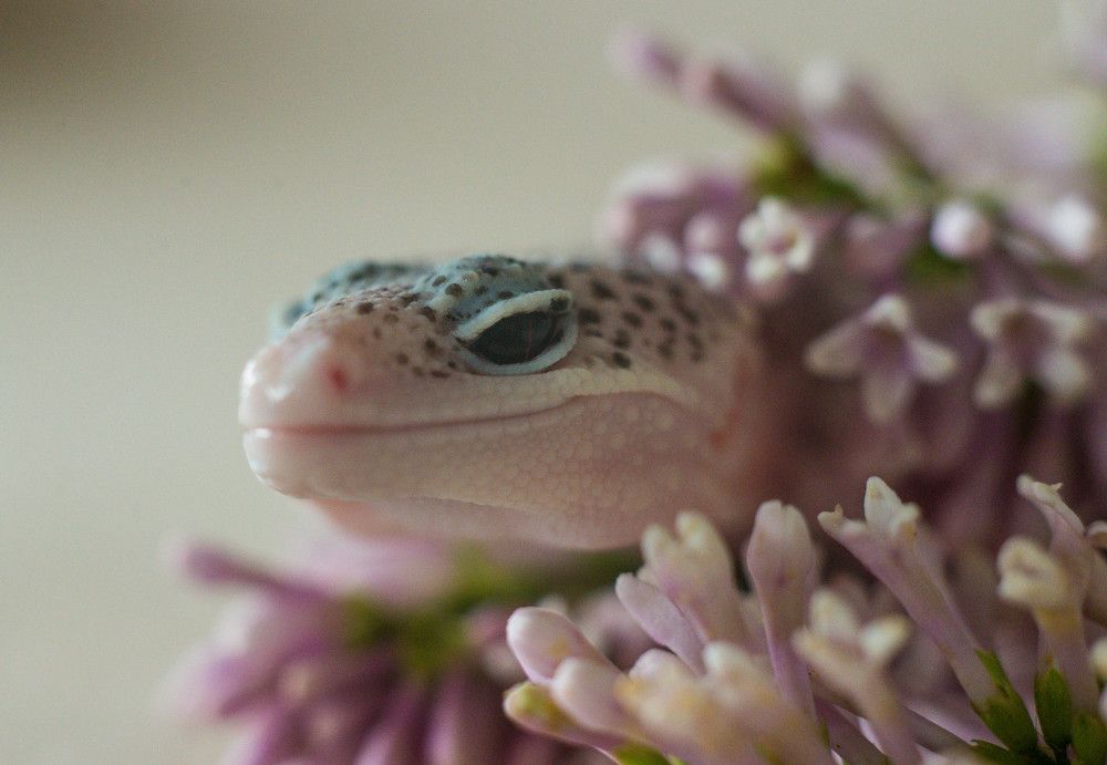 Photograph by Ирина