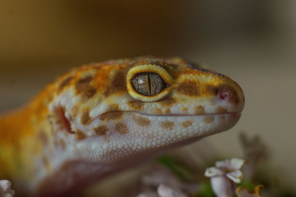 Photograph by Ирина