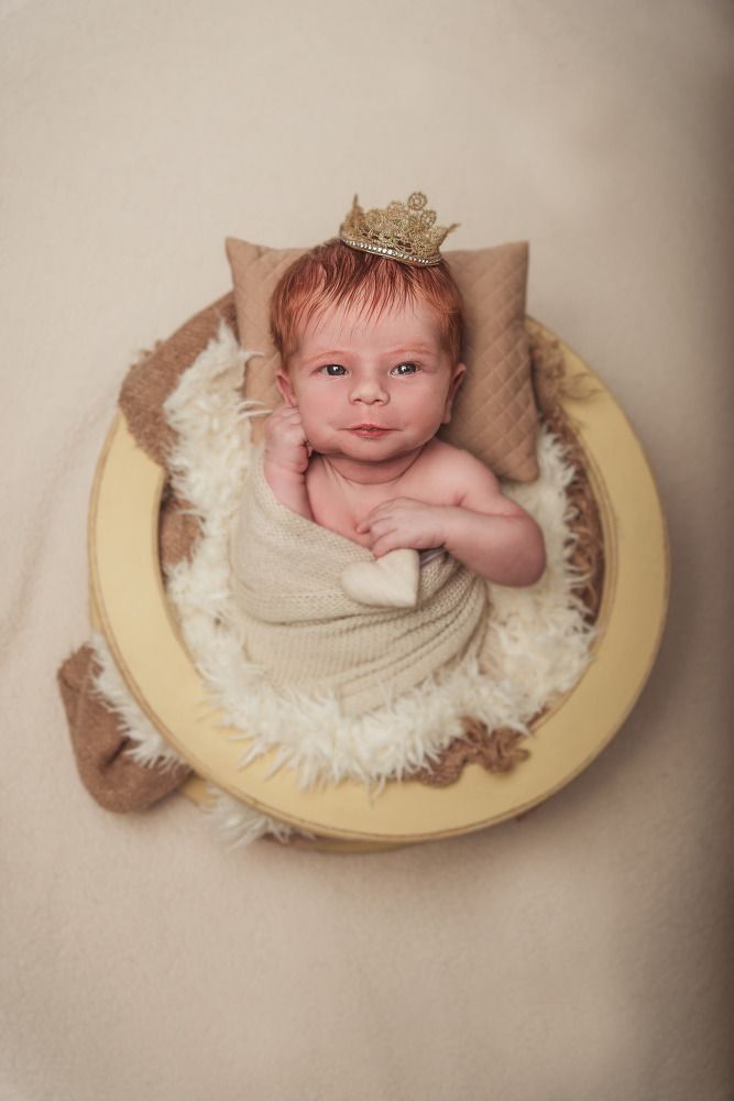 Фотография автора CAMILA ZANCANARO