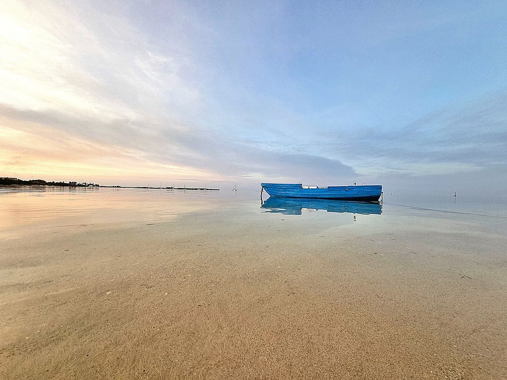 Photograph by Jeannette Beaumont