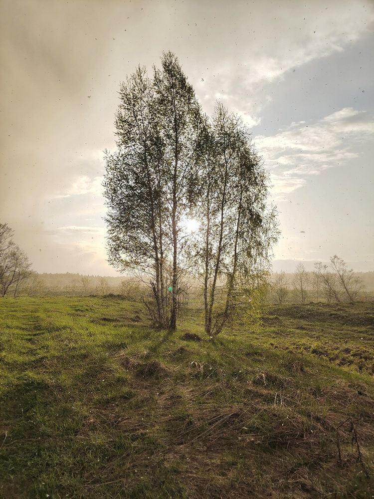 Photograph by Marina Green