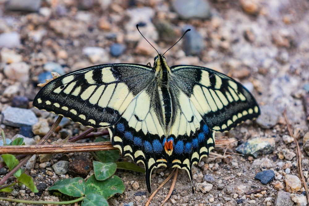 Photograph by Юрий Ломакин