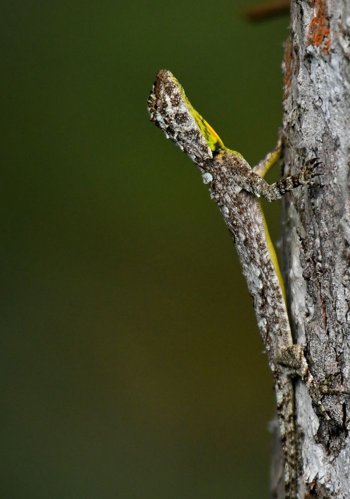 Photograph by Ansary