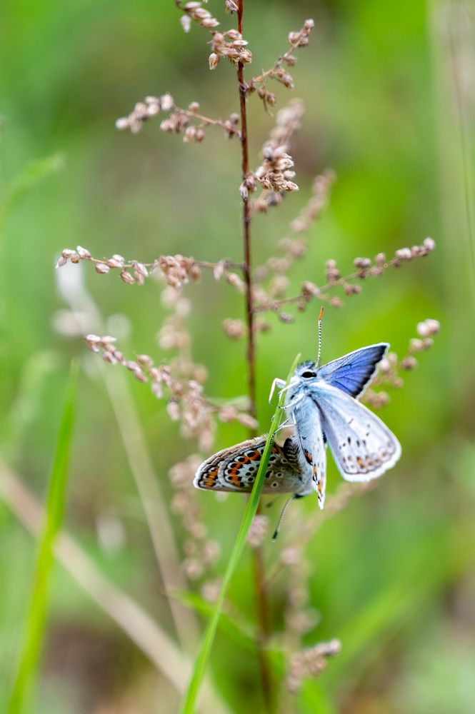 Photograph by Фёдорова Анастасия