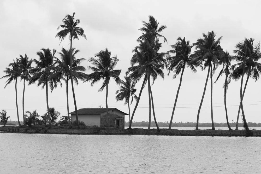 Фотография автора Srinivas