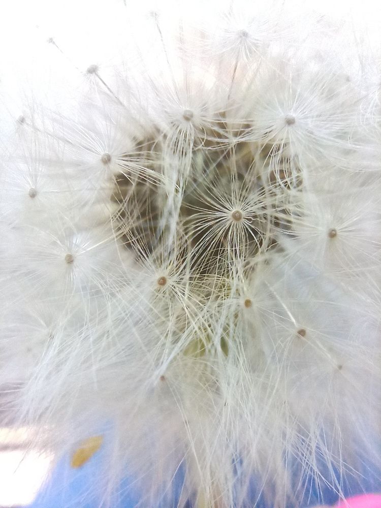 Photograph by Нестерова Карина