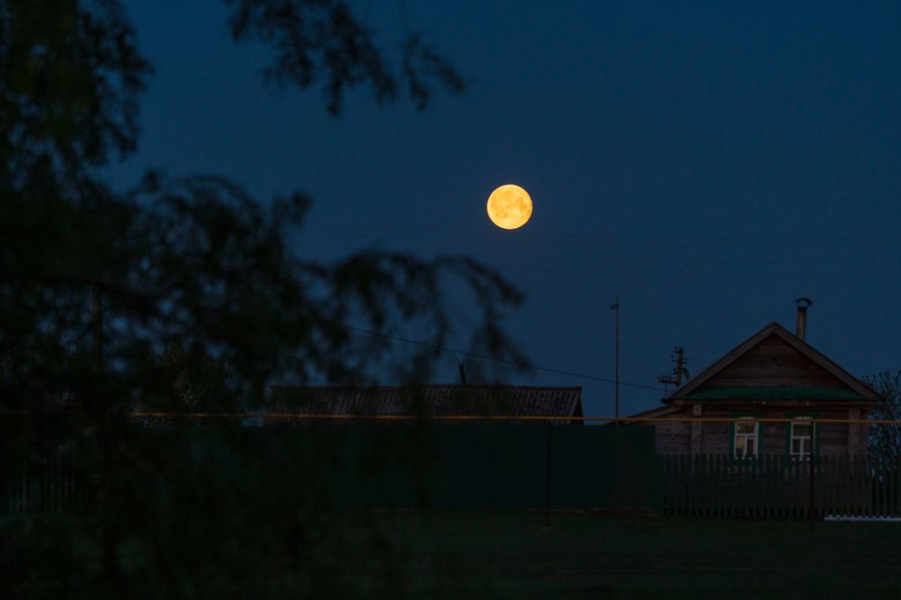 Фотография автора Константин Григорьев
