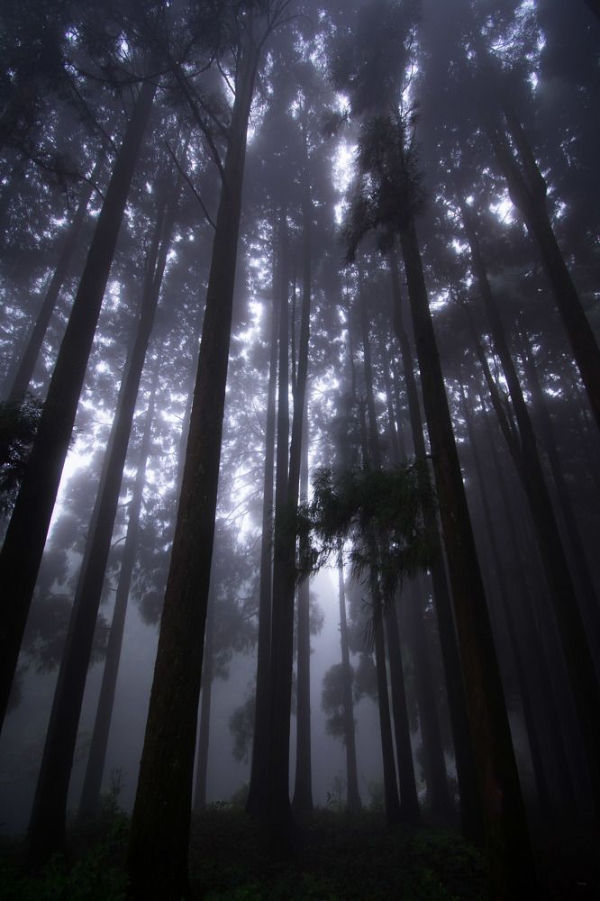 Фотография автора Dipayan Debbarma