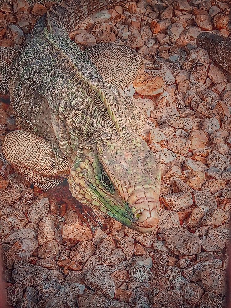 Photograph by Victor Manuel Torno