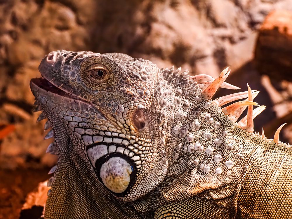 Photograph by Слави Котаров