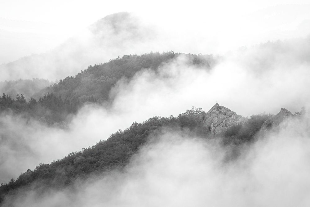 Photograph by Слави Котаров