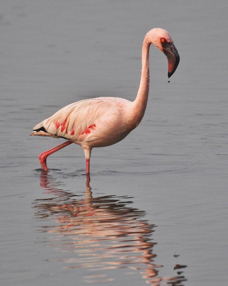 Photograph by Neelimaa Ripote