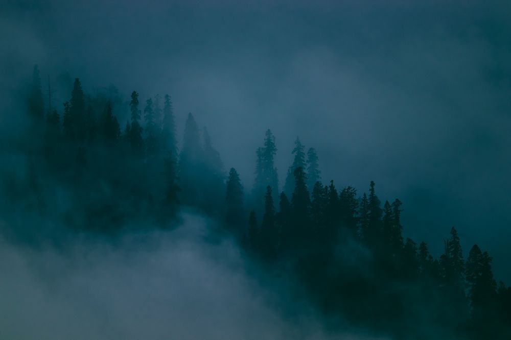 Photograph by Rishikesh Budhbhatti