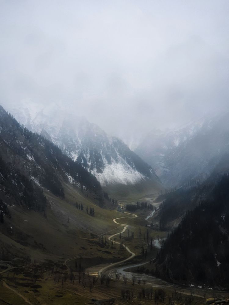 Photograph by Rishikesh Budhbhatti