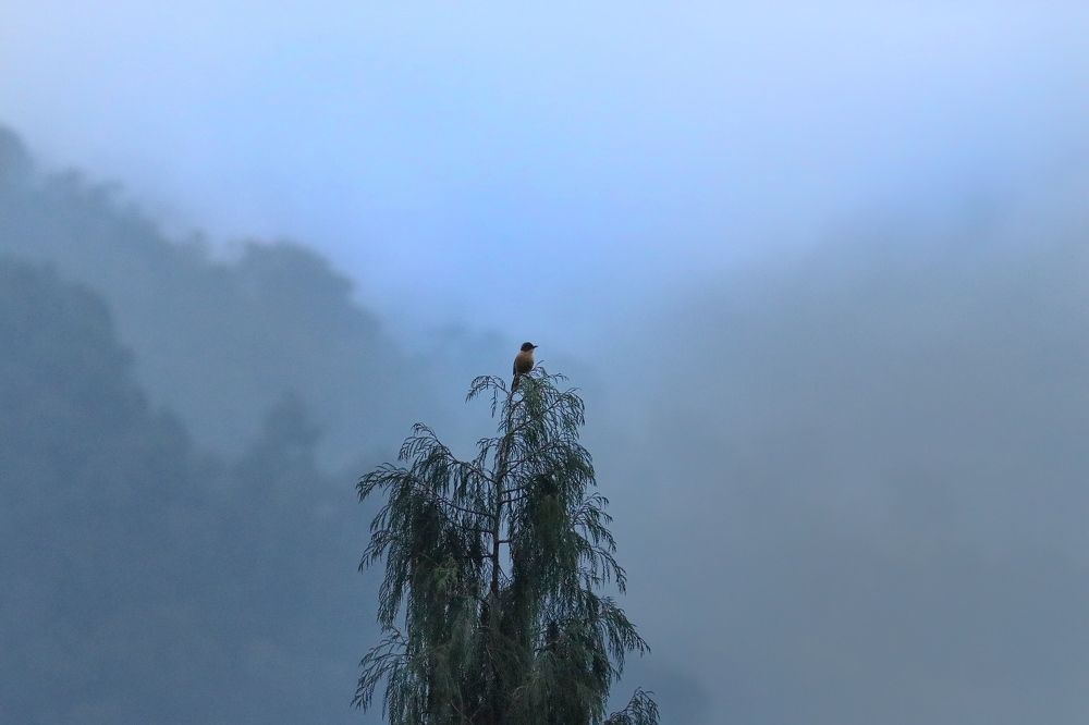 Photograph by Debtanu Baidya