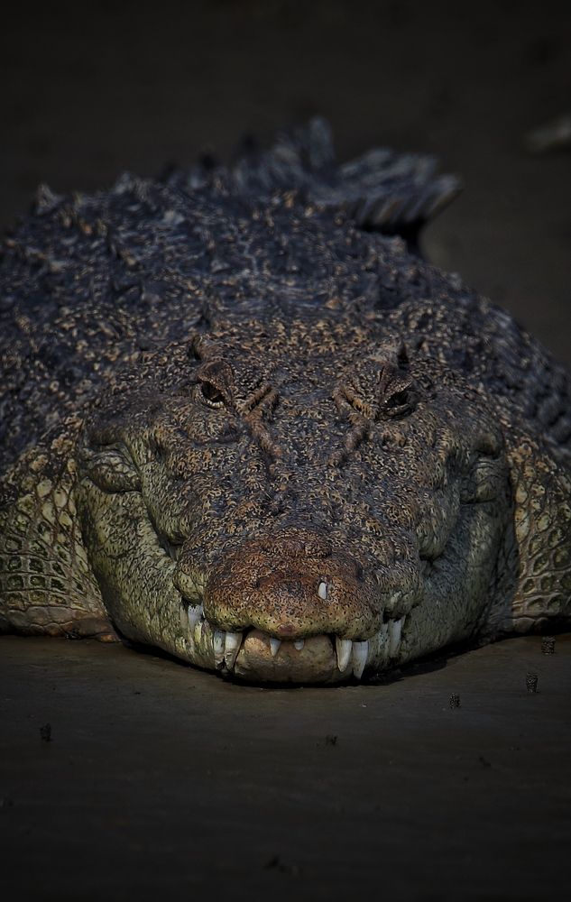 Photograph by Debtanu Baidya