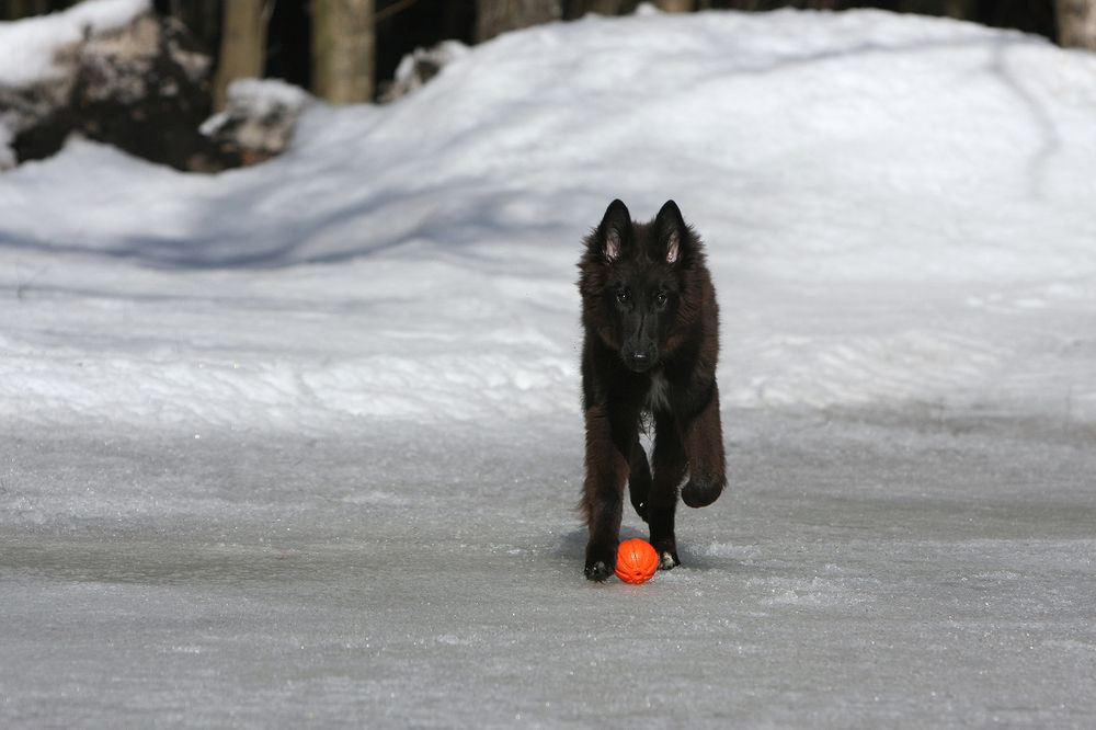Фотография автора Надежда Лисицына