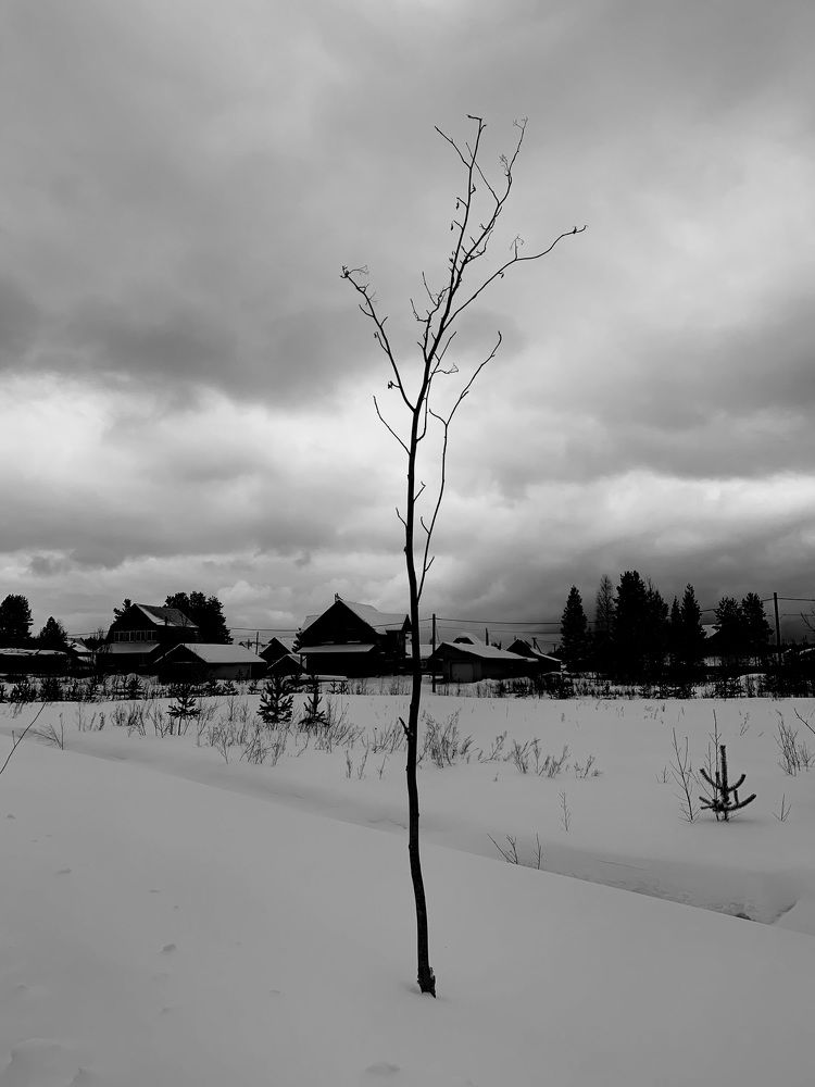 Последний день зимы