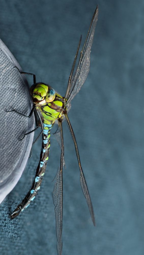 Photograph by Taтьяна Войлокова