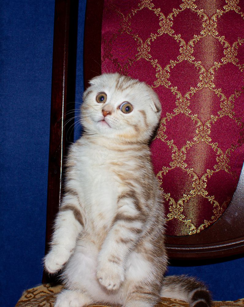 Photograph by Алексей Тихонов