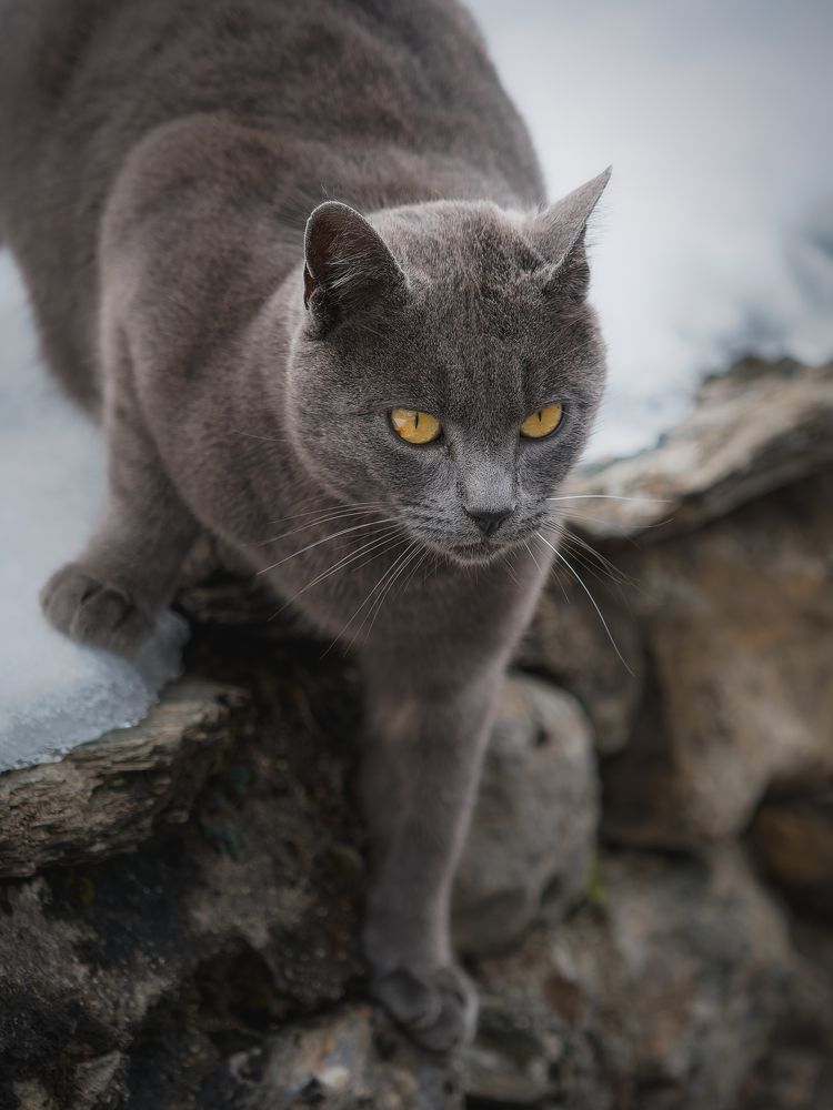 Photograph by Sergio