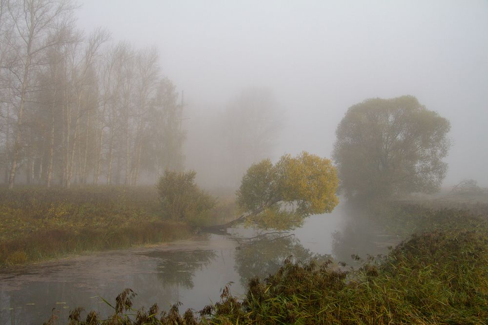 Photograph by Николаев Андрей