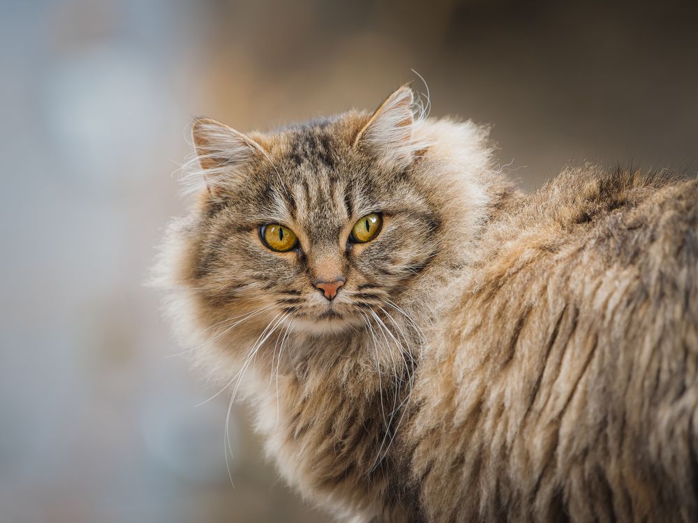 Photograph by Sergio