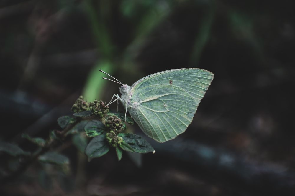 Photograph by AJAY KUMAR