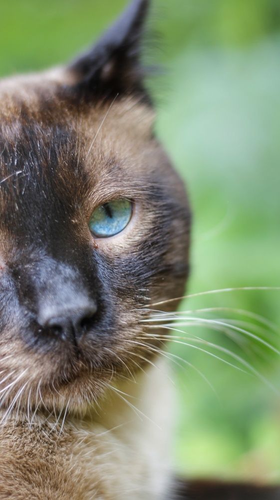 Photograph by nileydi Colmenarez