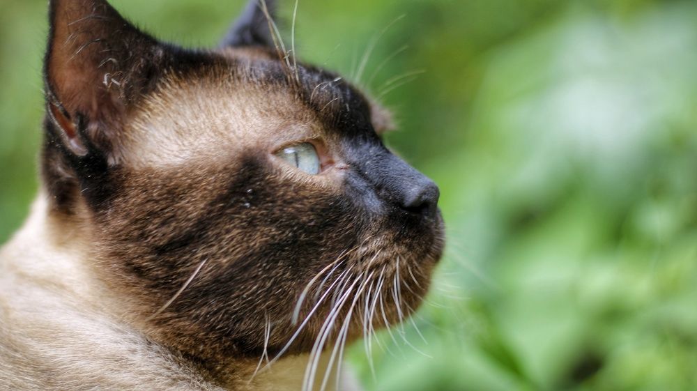 Photograph by nileydi Colmenarez