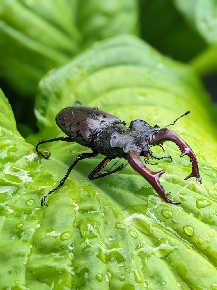 Photograph by Ira Egorova