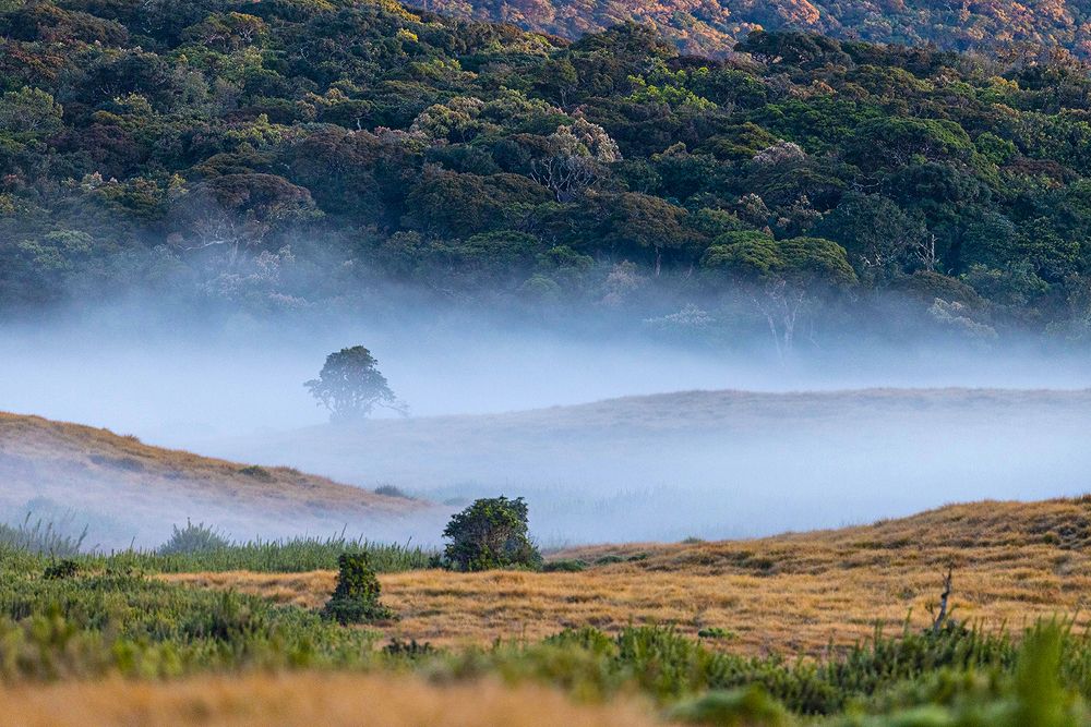 Photograph by Senadheera Danushka