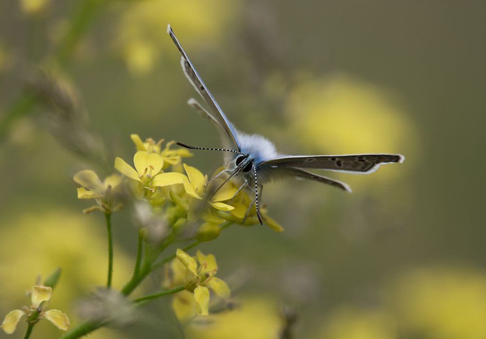 Photograph by Наталья Быстрая