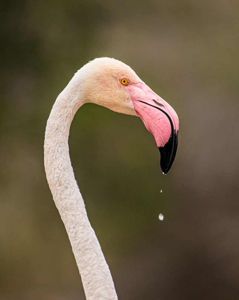 Photograph by Ganesh Paisa